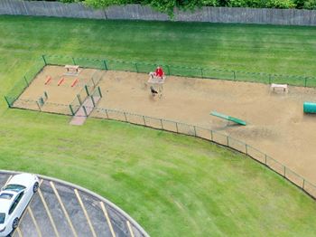 Bark park